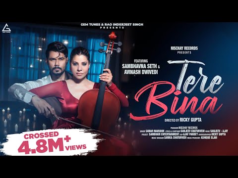 Poster Tere Bina Lyrics – Samar Monsoon | Sambhavna Seth