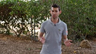 אחרי 50 שנה: "הגן הנעלם" בכפר סבא ייפתח