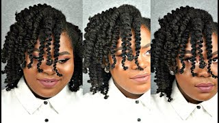 DEFINITION is INSANE !!!! 3 Strand Twist ft. The Mane Choice Heavenly Halo Collection | Bubs Bee
