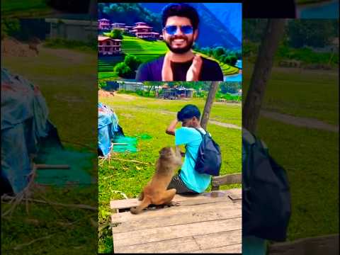 He Teased the Monkey… Then Got a Taste of His Own Mischief! 😂🐒 | Instant Payback
