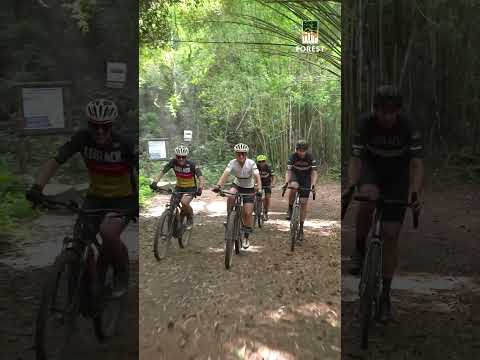 Lançamento em Louveira SP - FOREST HOUSES - MANDUCA 3