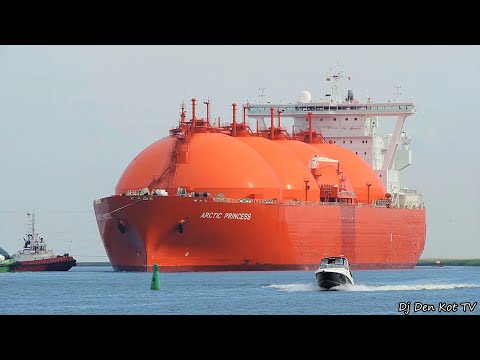 Arctic Princess in Klaipeda Port 2020