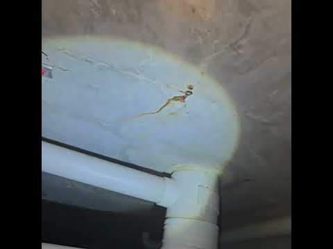 ceiling slab soffit water leaking