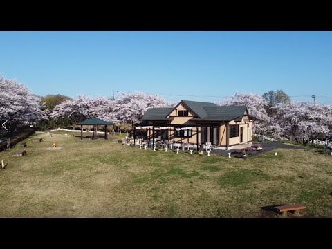 桜ドローン動画＠東松山市農林公園