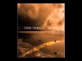 Todd Thibaud - Simple Man