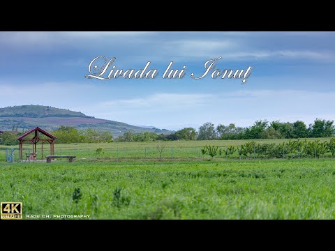 Livada lui Ionut 1 Mai 2024