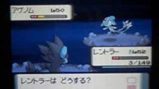 アグノム ポケットモンスター マルマイン リーシャン グライガー