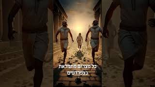 מכת צפרדעים בשנת 2026 - חובה צפייה! (הרב רפאל זר) - התמונה מוצגת ישירות מתוך אתר האינטרנט יוטיוב. זכויות היוצרים בתמונה שייכות ליוצרה. קישור קרדיט למקור התוכן נמצא בתוך דף הסרטון