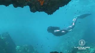 Kültür ve Turizm Bakanlığı (Türkiye Turizm Tanıtım ve Geliştirme Ajans