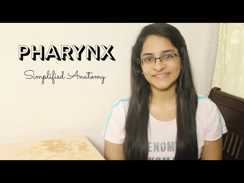 PHARYNX | ANATOMY | SIMPLIFIED