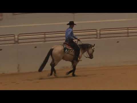 210222 Novice Horse Open Matt Goodman on Spooks Gota Blonde