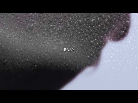 Fed Horses - Love Tree (Official Lyric Video)