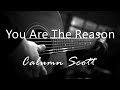 You Are The Reason Calum Scott Acoustic Karaoke