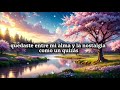 No fue,ni será 