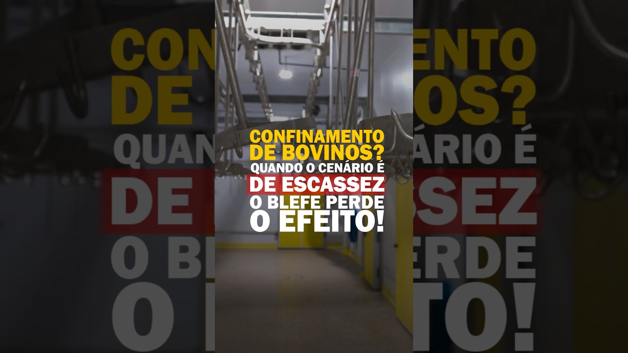CONFINAMENTO DE BOVINOS? QUANDO O CENÁRIO É DE ESCASSEZ, O BLEFE PERDE O EFEITO!