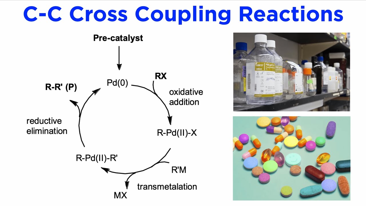 Introduction to C-C Cross-Coupling: The Suzuki-Miyaura Reaction