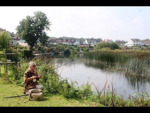 Ray Walton - DORSET STOUR, CANFORD BRIDGE, WIMBORNE, DORSET