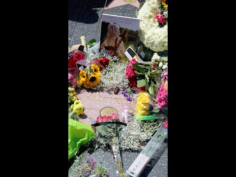 Fans from coast to coast pay tribute to Dolly Parton