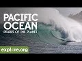 Pacific Ocean Pearls Of The Planet