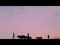 Kaadu Potta Kadu Song Whatsapp Status