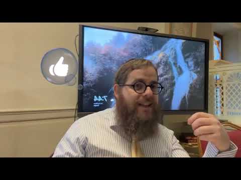 Bává Möciá 8 – Napi Talmud 1523 – A lovaglás, mint bortokba vevés