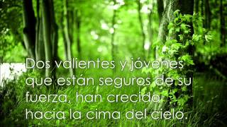 Juha Tapio - Kaksi puuta (sub. español)