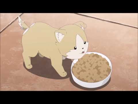 Kemono Michi Rise Up Hiroyuki Episode Highlights