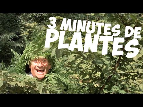 3 minutes de plantes avec Louis de FunÃ¨s !