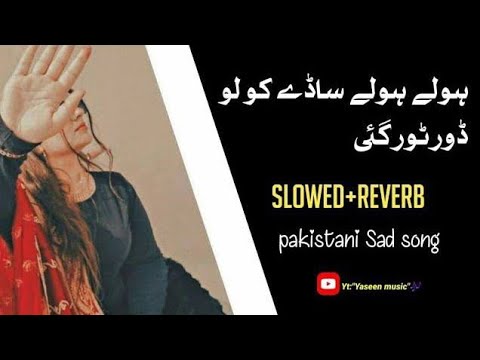 Hole Hole Door Tur Gayi |Slowed and reverb |Danish Khichi