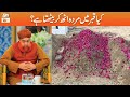 Kya Murda Qabar Main Uth Kar Bethta Hai Mufti Muhammad Akmal