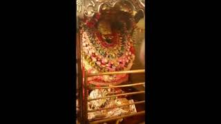 मां विंध्यवासिनी की मंगला आरती के बाद लगी भक्तों की कतार video