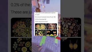 Plant Memes