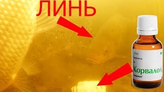 Корвалол в приманку на карася