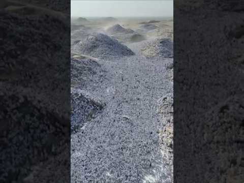 Hajj 2026 Live Today | Makkah, Mina & Arafat Spiritual Journey | Today ​ #fypシ​