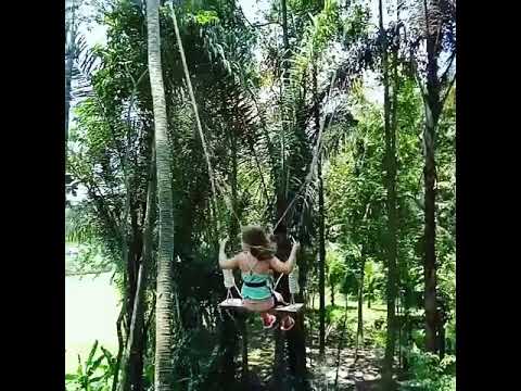 Ubud mesari 🌾🌾🌾🌾🌾 swing e café luwak jl pinus lontunduh ubud ☎️ +6281236708090 www.ubudme