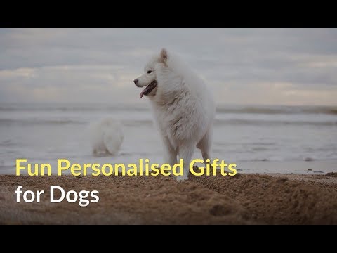 Fun Personalised Gifts for Dogs