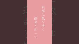 さくら - 森山直太朗 ( Covered by Negi ) #shorts
