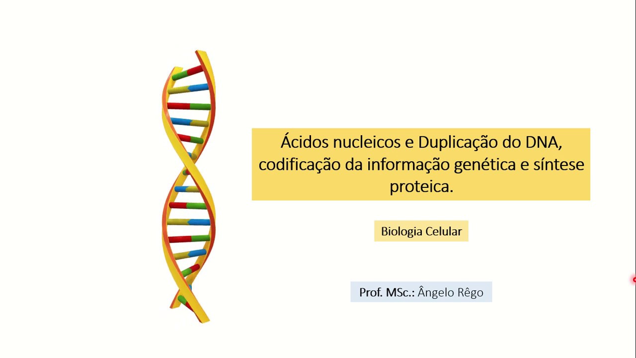 Aula Biologia Celular. Ácidos nucleicos - Replicação, transcrição e tradução