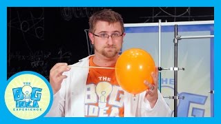 Science Station: Courage