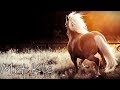 Sunlounger Roger Shah Instrumental Chill Mix With Landscape Video By Mrt Klc