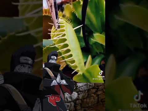 #Зецу #Обито #Наруто #Shorts