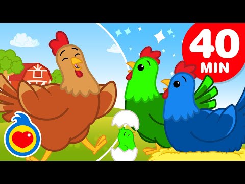 Galinhazinha 🐔🐤🐓 | E Muitas Mais Canções de Galinhazinhas e Pintinhos (40 Min) | Um Herói do Coração