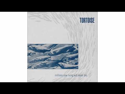 Tortoise - The Taut and Tame