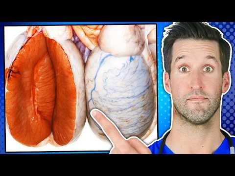 Never Do This to Your Penis Again!