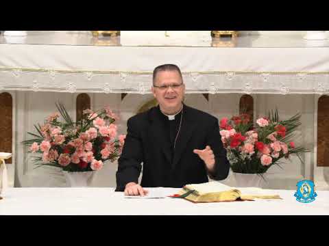 The Mass Explained - Explaining the Faith