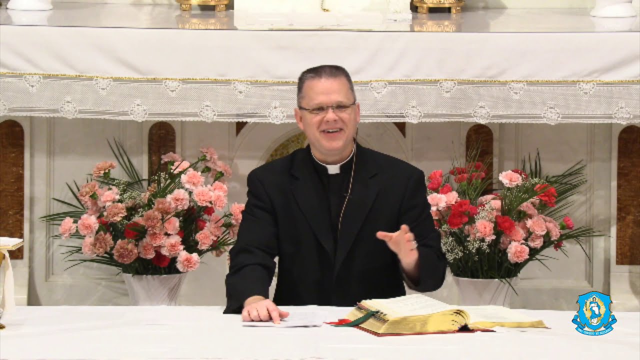 The Mass Explained - Explaining the Faith