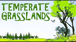 Lands | A Visit To The Grasslands With The Kids |  Temperate Grasslands | Part -1 Animated