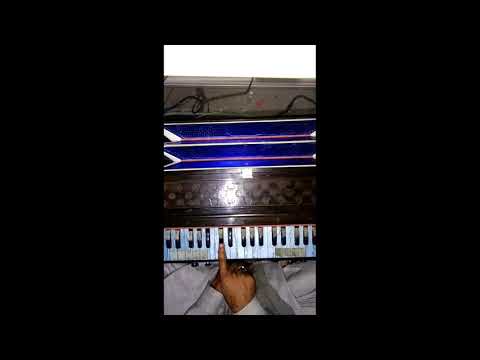 Harmonium basic training for beginner