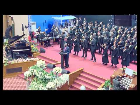 WARRIORS OF THE NIGHT