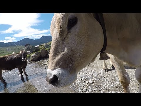 Transalp 2017 - Tag 2